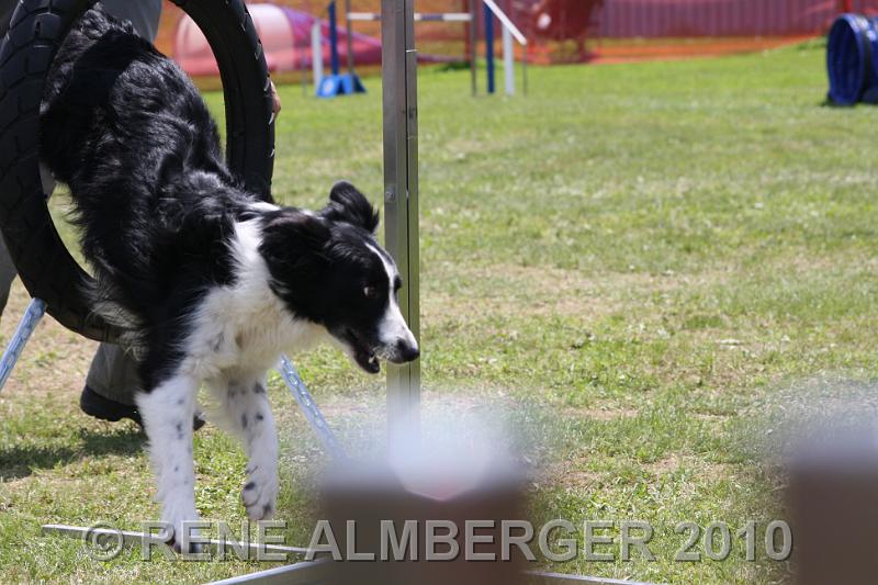 Bild 444.jpg